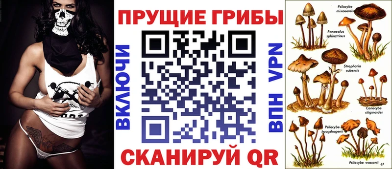 Псилоцибиновые грибы Cubensis  Купить где  Усинск 